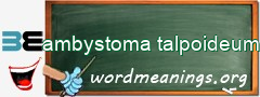 WordMeaning blackboard for ambystoma talpoideum